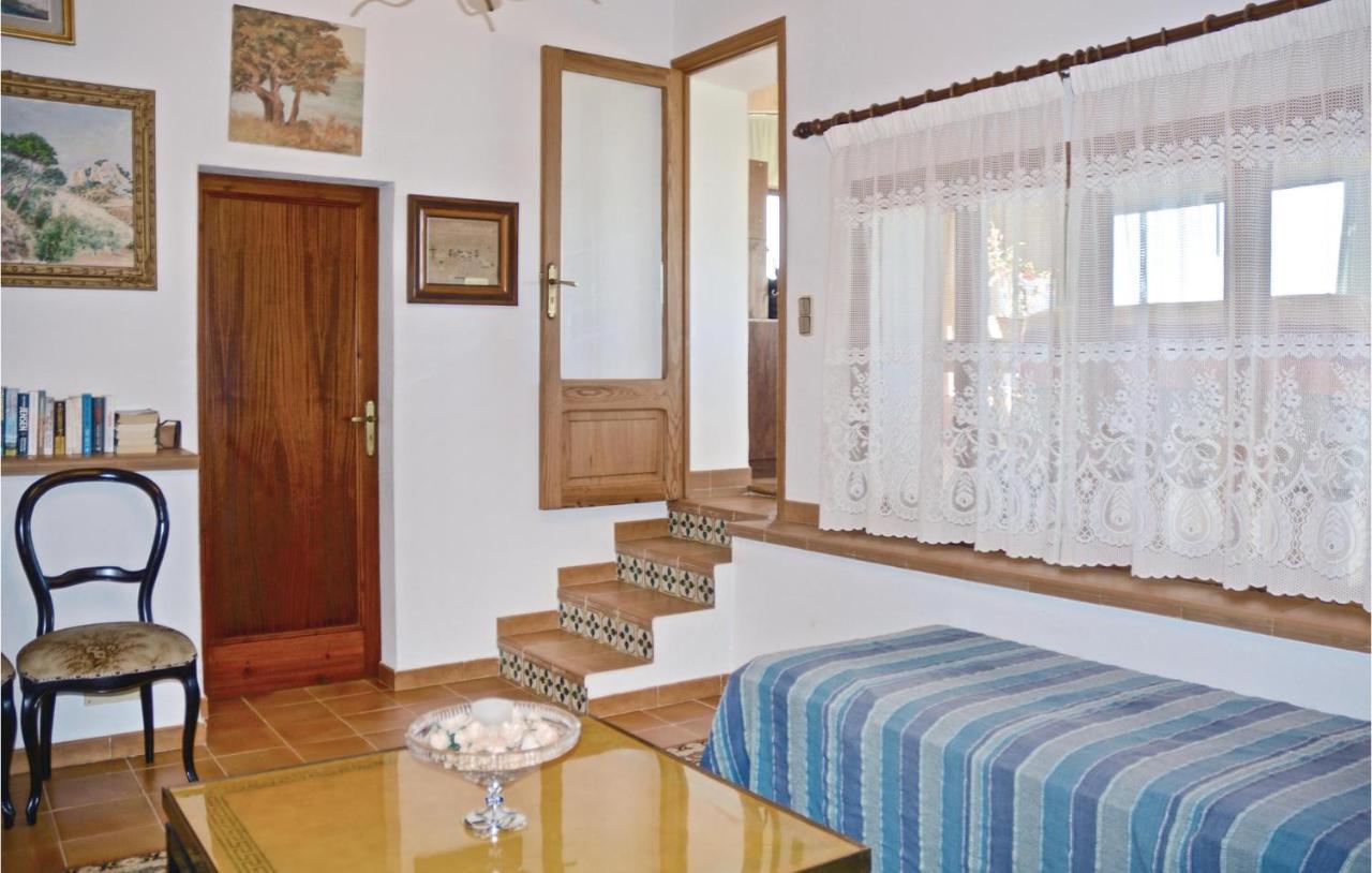 Apartment Pet Friendly In With Kitchen *